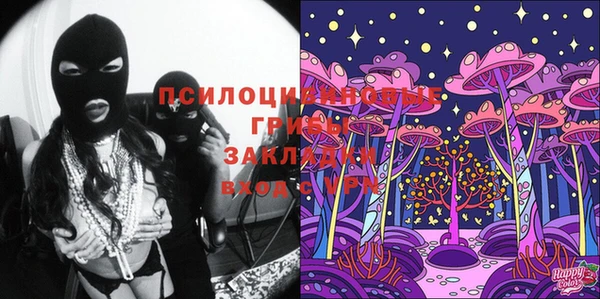 прущие грибы Волосово