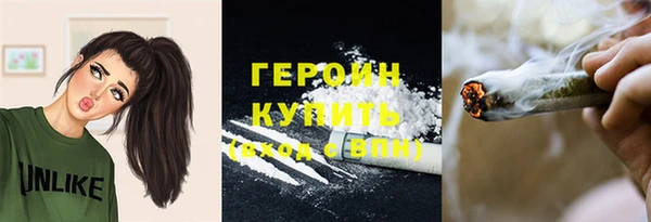 прущие грибы Волосово