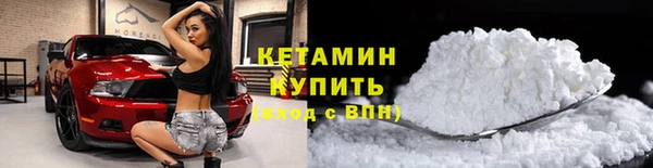 прущие грибы Волосово
