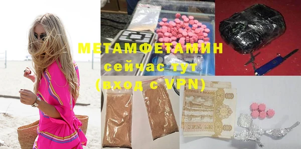 прущие грибы Волосово
