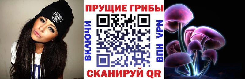 Галлюциногенные грибы мицелий  Купить где  Пущино 